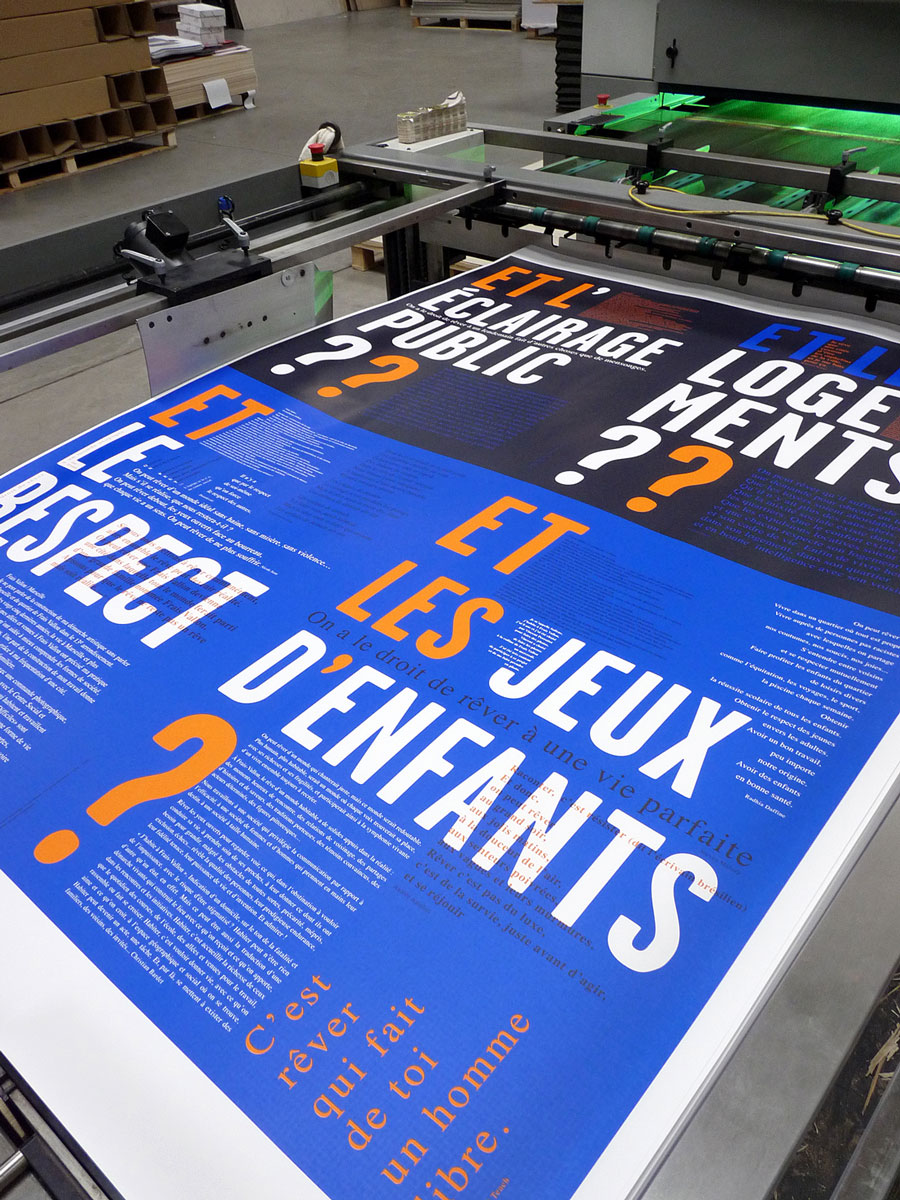 Poster Lézard Graphique Vincent Perrottet 2012